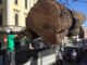 piantone varese diventa scultura