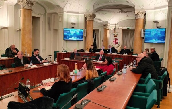 sviluppo volandia consiglio provinciale