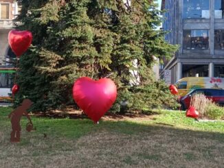 varese san valentino cuori