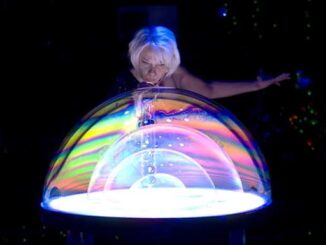 varese teatro bolle show