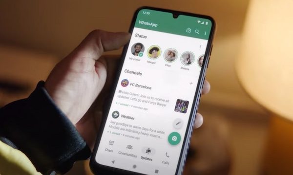 Albizzate comune gruppo whatsapp