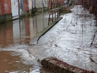 Gallarate torrenti sorgiorile arno