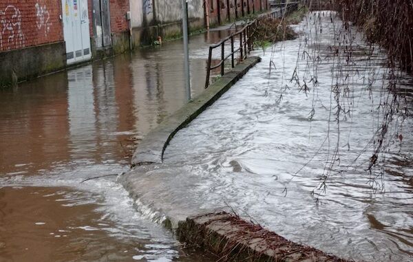 Gallarate torrenti sorgiorile arno