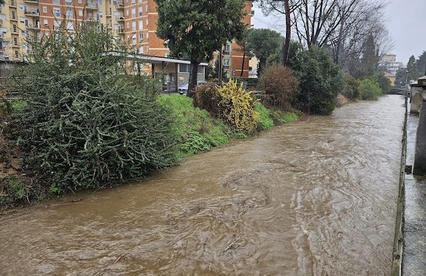 Gallarate torrenti sorgiorile arno