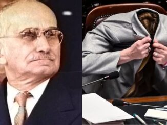 lodi einaudi meloni
