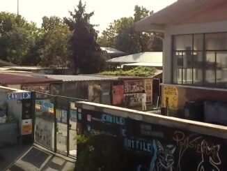 Gallarate canile abbandono animali