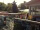 Gallarate canile abbandono animali