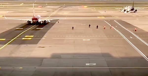malpensa blitz anarchici arresti