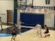 Varese Basket Week giovanile