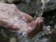 acqua sostanze alfa somma