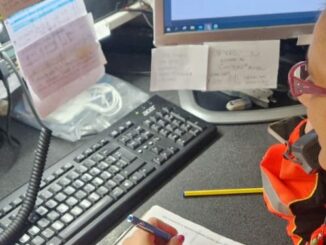 castanoprimo attivamente numerounico fragilità