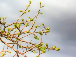 cielo nuvoloso pioggia sole