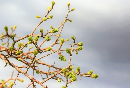 cielo nuvoloso pioggia sole