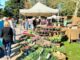legnano magenta pasqua pasquetta