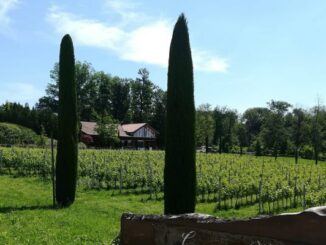 giornate fai morazzone castiglione