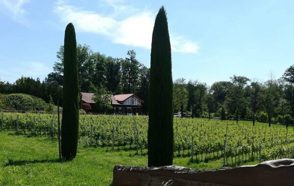 giornate fai morazzone castiglione