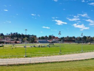 ippodromo varese sfratto allenatori