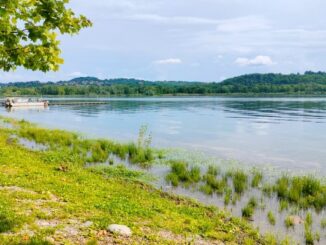 lago varese risanamento piano triennale