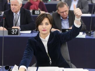 lara comi articolo