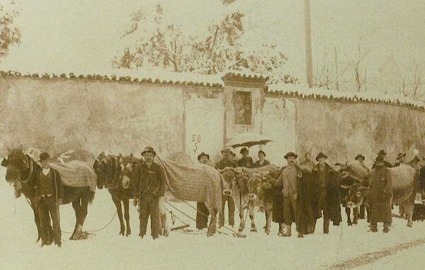 legnano centenario racconti cortometraggio