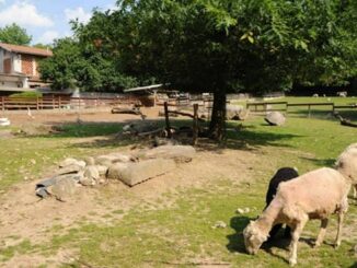 varese coldiretti pasqua agriturismo 02
