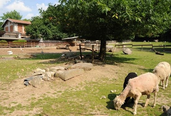 varese coldiretti pasqua agriturismo 02