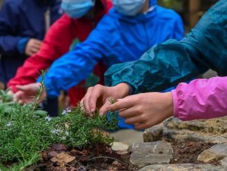 legnano wwf scuole urbannature2024