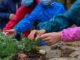 legnano wwf scuole urbannature2024
