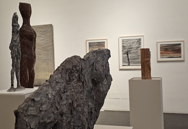 Gallarate museo mostre 2024