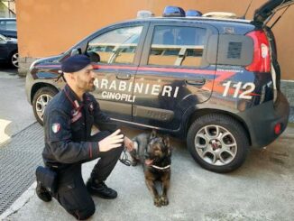 cerromaggiore parabiago droga carabinieri