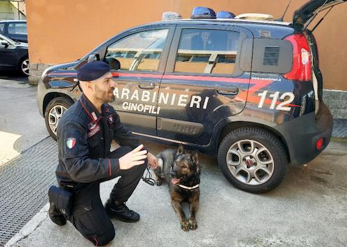 cerromaggiore parabiago droga carabinieri