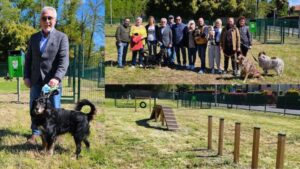 cardano area cani sindaco