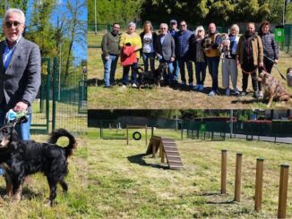 cardano area cani sindaco
