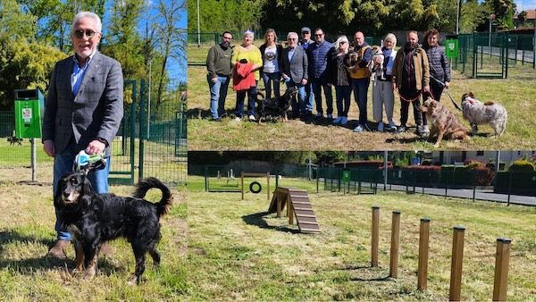 cardano area cani sindaco