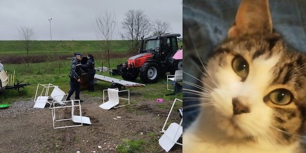 gallarate gatto sinti sgombero
