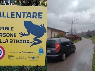 golasecca sesto rospi strade