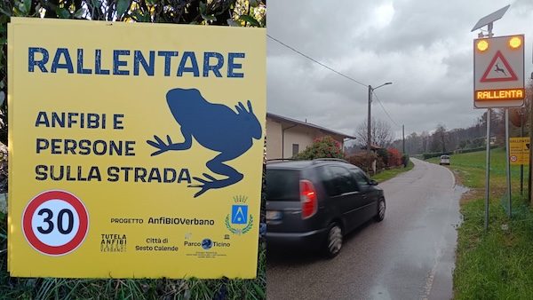 golasecca sesto rospi strade