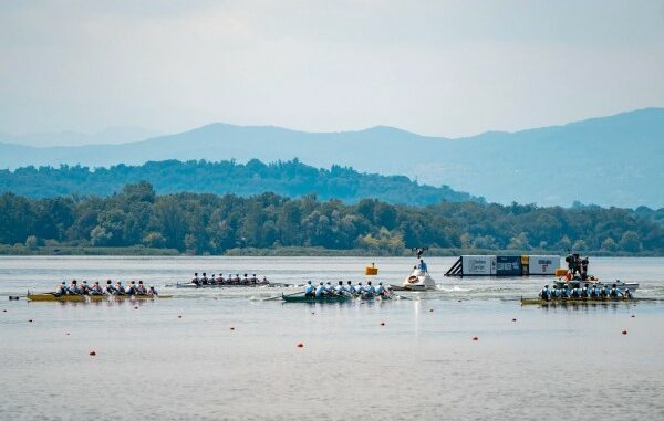 coppa del mondo canottaggio varese