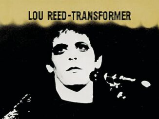 legnano rock musica biblioteca loureed transformer