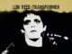 legnano rock musica biblioteca loureed transformer