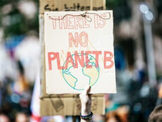 elezioni comunali programmi clima