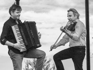 gavirate-son-music-viarmonica-03