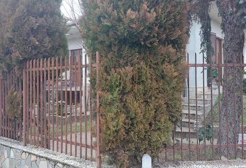 magenta abusivi rumore generatore