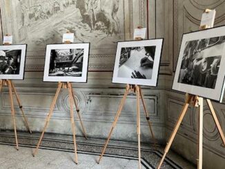 legnano mostra mestieri guineabissau