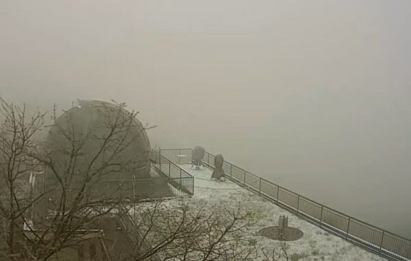 neve primavera campo dei fiori