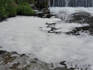 arpa olona gorla fagnano