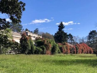 legnano parco ila sanatorio