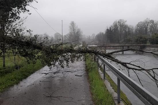 castanoprimo legnano maltempo protezionecivile