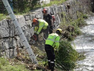 protezione civile piambello olona