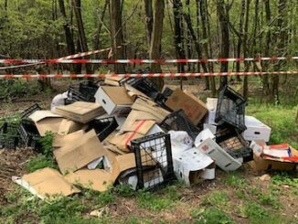 magnago rifiuti multe polizialocale
